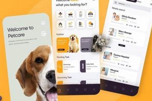 Best Mobile Dog Health Care Services My Caring Dog – Tips, Stories, and Care Guides for Loving Pet Owners Best Mobile Dog Health Care Services | My Caring Dog – Tips, Stories, and Care Guides for Loving Pet Owners