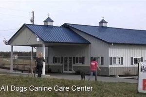 Top Dog Care Services | All Dogs Canine Center | My Caring Dog – Tips, Stories, and Care Guides for Loving Pet Owners