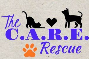 Ultimate Dog Car Care Rescue Guide My Caring Dog – Tips, Stories, and Care Guides for Loving Pet Owners Ultimate Dog Car Care Rescue Guide | My Caring Dog – Tips, Stories, and Care Guides for Loving Pet Owners