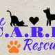 Ultimate Dog Car Care Rescue Guide | My Caring Dog – Tips, Stories, and Care Guides for Loving Pet Owners
