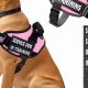 Free Service Dog Vest | My Caring Dog – Tips, Stories, and Care Guides for Loving Pet Owners