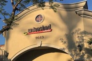 Top Dog Day Care in Simi Valley CA: Best Options My Caring Dog – Tips, Stories, and Care Guides for Loving Pet Owners Top Dog Day Care in Simi Valley CA: Best Options | My Caring Dog – Tips, Stories, and Care Guides for Loving Pet Owners