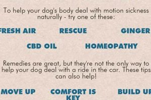 Top 5 Natural Car Sickness Remedies for Dogs in 2024 My Caring Dog – Tips, Stories, and Care Guides for Loving Pet Owners Top 5 Natural Car Sickness Remedies for Dogs in 2024 | My Caring Dog – Tips, Stories, and Care Guides for Loving Pet Owners