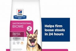 Hill's Prescription Diet Gastrointestinal Biome Digestive/fiber Care Dog Food | My Caring Dog – Tips, Stories, and Care Guides for Loving Pet Owners