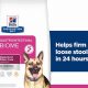 Hill's Prescription Diet Gastrointestinal Biome Digestive/fiber Care Dog Food | My Caring Dog – Tips, Stories, and Care Guides for Loving Pet Owners