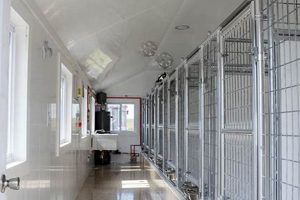 Top-Rated Dog Care Kennels: Find The Best My Caring Dog – Tips, Stories, and Care Guides for Loving Pet Owners Top-Rated Dog Care Kennels: Find The Best | My Caring Dog – Tips, Stories, and Care Guides for Loving Pet Owners