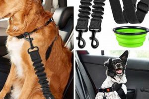 Top 5 Best Dog Car Seat Belts for Safe Travels | My Caring Dog – Tips, Stories, and Care Guides for Loving Pet Owners
