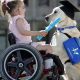 Best Disability Dogs for Car Travel | My Caring Dog – Tips, Stories, and Care Guides for Loving Pet Owners