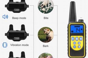 Best Dog Training Collar Receivers for Effective Care | My Caring Dog – Tips, Stories, and Care Guides for Loving Pet Owners
