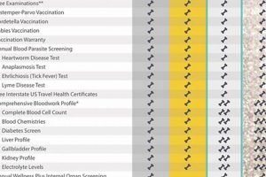 Dog Annual Care | My Caring Dog – Tips, Stories, and Care Guides for Loving Pet Owners