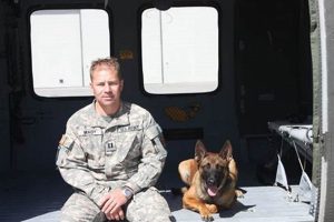 Best Service Dog Training in Madison, WI My Caring Dog – Tips, Stories, and Care Guides for Loving Pet Owners Best Service Dog Training in Madison, WI | My Caring Dog – Tips, Stories, and Care Guides for Loving Pet Owners