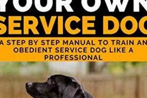 Training Your Own Service Dog My Caring Dog – Tips, Stories, and Care Guides for Loving Pet Owners Training Your Own Service Dog | My Caring Dog – Tips, Stories, and Care Guides for Loving Pet Owners