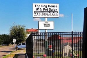Top Dog Day Care in Houston, TX My Caring Dog – Tips, Stories, and Care Guides for Loving Pet Owners Top Dog Day Care in Houston, TX | My Caring Dog – Tips, Stories, and Care Guides for Loving Pet Owners