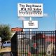 Top Dog Day Care in Houston, TX | My Caring Dog – Tips, Stories, and Care Guides for Loving Pet Owners