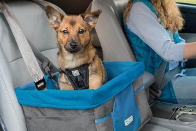 Best Kurgo Car Booster Seats for Dogs: Top Picks My Caring Dog – Tips, Stories, and Care Guides for Loving Pet Owners Best Kurgo Car Booster Seats for Dogs: Top Picks | My Caring Dog – Tips, Stories, and Care Guides for Loving Pet Owners