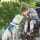 Dogs Helping People With Disabilities | My Caring Dog – Tips, Stories, and Care Guides for Loving Pet Owners