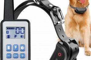 How To Pair Dog Care Collar With Remote My Caring Dog – Tips, Stories, and Care Guides for Loving Pet Owners How To Pair Dog Care Collar With Remote | My Caring Dog – Tips, Stories, and Care Guides for Loving Pet Owners