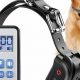 How To Pair Dog Care Collar With Remote | My Caring Dog – Tips, Stories, and Care Guides for Loving Pet Owners