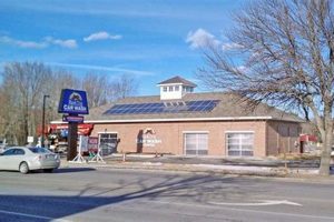Best Black Dog Car Wash in Dover NH My Caring Dog – Tips, Stories, and Care Guides for Loving Pet Owners Best Black Dog Car Wash in Dover NH | My Caring Dog – Tips, Stories, and Care Guides for Loving Pet Owners
