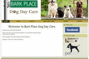 Top Dog Day Care in North Royalton, OH My Caring Dog – Tips, Stories, and Care Guides for Loving Pet Owners Top Dog Day Care in North Royalton, OH | My Caring Dog – Tips, Stories, and Care Guides for Loving Pet Owners