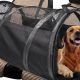 Best Large Dog Car Carriers for Safe Travel | My Caring Dog – Tips, Stories, and Care Guides for Loving Pet Owners