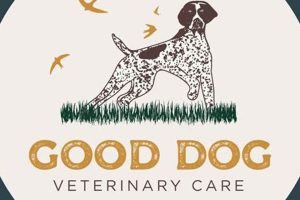 Top Dog Vet Care in West Cobb, GA | My Caring Dog – Tips, Stories, and Care Guides for Loving Pet Owners