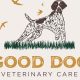 Top Dog Vet Care in West Cobb, GA | My Caring Dog – Tips, Stories, and Care Guides for Loving Pet Owners