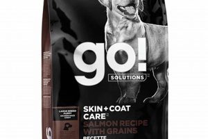Best Go! Solutions Salmon Dry Dog Food for Skin & Coat | My Caring Dog – Tips, Stories, and Care Guides for Loving Pet Owners