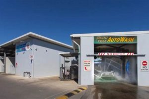 Best Jimboomba Car & Dog Wash Services | My Caring Dog – Tips, Stories, and Care Guides for Loving Pet Owners