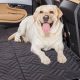 Best Dog Car Beds: Ultimate Comfort & Safety | My Caring Dog – Tips, Stories, and Care Guides for Loving Pet Owners