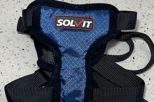 Best Solvit Dog Harness for Car Safety | My Caring Dog – Tips, Stories, and Care Guides for Loving Pet Owners
