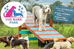 Best Bark Parks, Dog Parks & Daycare Near You | My Caring Dog – Tips, Stories, and Care Guides for Loving Pet Owners
