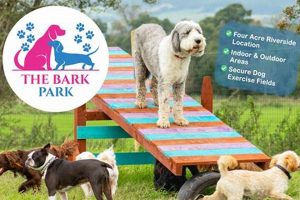 Best Bark Parks, Dog Parks & Daycare Near You My Caring Dog – Tips, Stories, and Care Guides for Loving Pet Owners Best Bark Parks, Dog Parks & Daycare Near You | My Caring Dog – Tips, Stories, and Care Guides for Loving Pet Owners