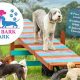 Best Bark Parks, Dog Parks & Daycare Near You | My Caring Dog – Tips, Stories, and Care Guides for Loving Pet Owners