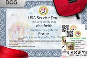 Service Dog Registration Near Me: Quick & Easy | My Caring Dog – Tips, Stories, and Care Guides for Loving Pet Owners