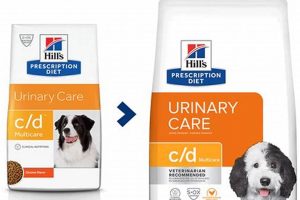 Cd Multicare Urinary Care Dry Dog Food | My Caring Dog – Tips, Stories, and Care Guides for Loving Pet Owners