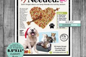 Car Dog Donations: Help Us Save Them | My Caring Dog – Tips, Stories, and Care Guides for Loving Pet Owners