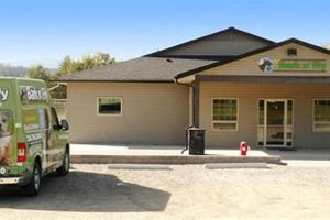 Best Bark N Fly Dog Day Care & Kennels My Caring Dog – Tips, Stories, and Care Guides for Loving Pet Owners Best Bark N Fly Dog Day Care & Kennels | My Caring Dog – Tips, Stories, and Care Guides for Loving Pet Owners