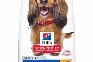Best Oral Care Dog Food Reviews & Guide | My Caring Dog – Tips, Stories, and Care Guides for Loving Pet Owners