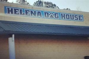 Top Dog Day Care in Helena, MT My Caring Dog – Tips, Stories, and Care Guides for Loving Pet Owners Top Dog Day Care in Helena, MT | My Caring Dog – Tips, Stories, and Care Guides for Loving Pet Owners