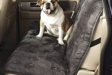 Best Car Seat Dog Covers UK: Top Picks & Guide | My Caring Dog – Tips, Stories, and Care Guides for Loving Pet Owners