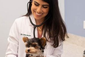 Best Dog Day Care in Coral Gables, FL My Caring Dog – Tips, Stories, and Care Guides for Loving Pet Owners Best Dog Day Care in Coral Gables, FL | My Caring Dog – Tips, Stories, and Care Guides for Loving Pet Owners
