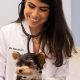 Best Dog Day Care in Coral Gables, FL | My Caring Dog – Tips, Stories, and Care Guides for Loving Pet Owners