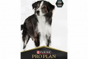 Best Purina Essential Care Senior Dog Food Guide | My Caring Dog – Tips, Stories, and Care Guides for Loving Pet Owners