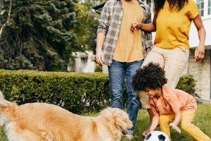 Top People for Dogs: Car Dog Lovers Unite My Caring Dog – Tips, Stories, and Care Guides for Loving Pet Owners Top People for Dogs: Car Dog Lovers Unite | My Caring Dog – Tips, Stories, and Care Guides for Loving Pet Owners