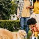 Top People for Dogs: Car Dog Lovers Unite | My Caring Dog – Tips, Stories, and Care Guides for Loving Pet Owners