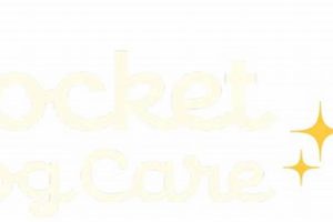 Best Rocket Dog Care in Seattle: Top Services | My Caring Dog – Tips, Stories, and Care Guides for Loving Pet Owners