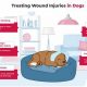 Expert Dog Wound Care Guide: Tips &amp; Tricks | My Caring Dog – Tips, Stories, and Care Guides for Loving Pet Owners