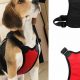 Best Dog Car Harness Seat Belts for Safe Travel | My Caring Dog – Tips, Stories, and Care Guides for Loving Pet Owners