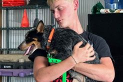 Service Dog Training Birmingham Al | My Caring Dog – Tips, Stories, and Care Guides for Loving Pet Owners